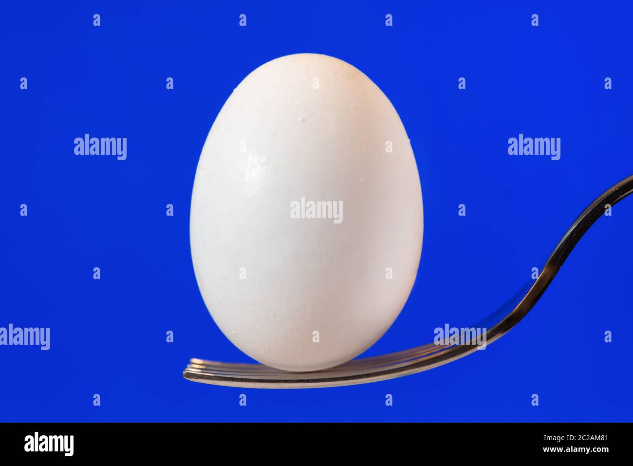 White egg on fork with blue display background Stock Photo