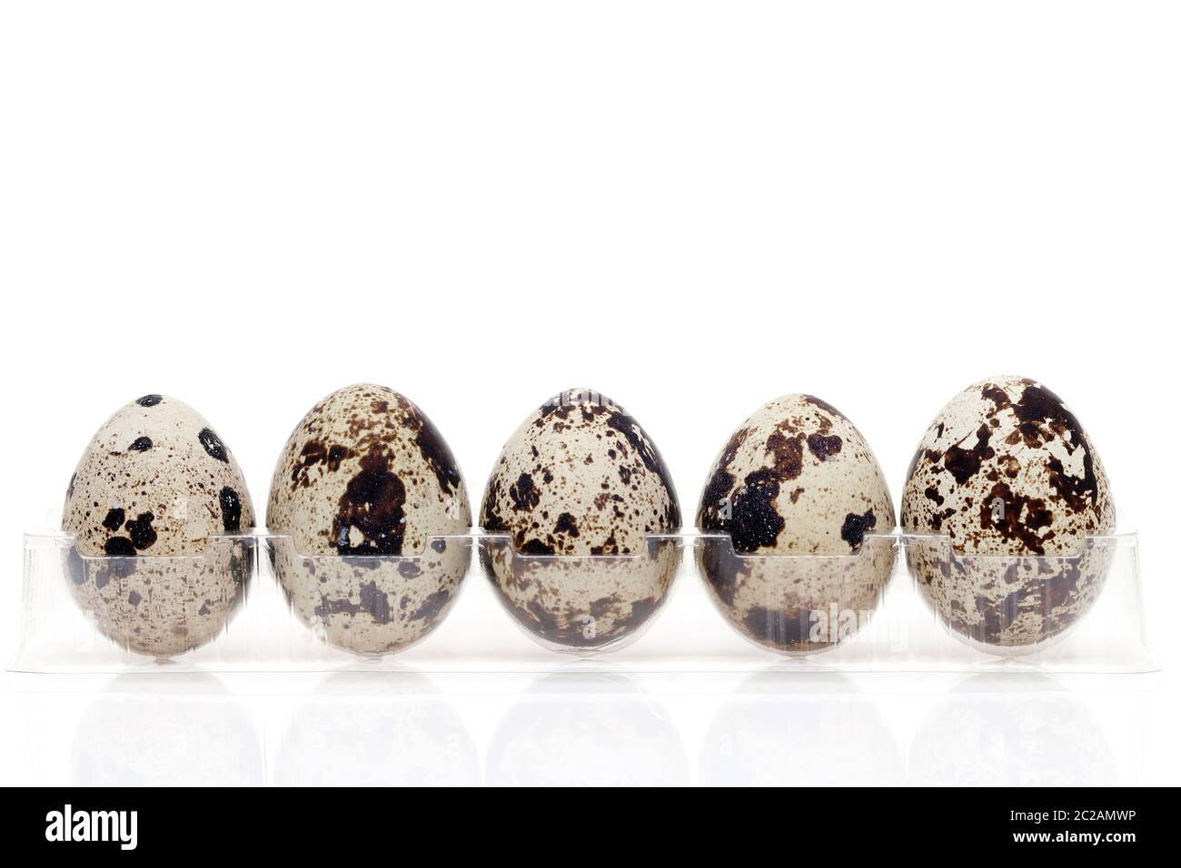 quail eggs in transparent plastic container on white background Stock Photo