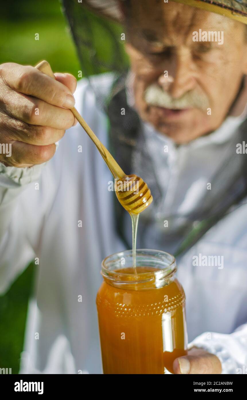 senior apiarist checking his honey in apiary Stock Photo