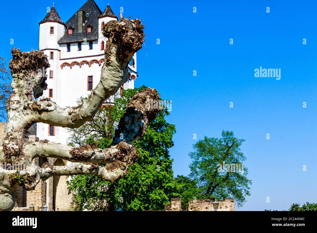 Electoral castle in Eltville in Rheingau, a district of the sparkling wine, wine and rose town of Eltville on the Rhine in the Rheingau-Taunus in Hesse, Germany Stock Photo
