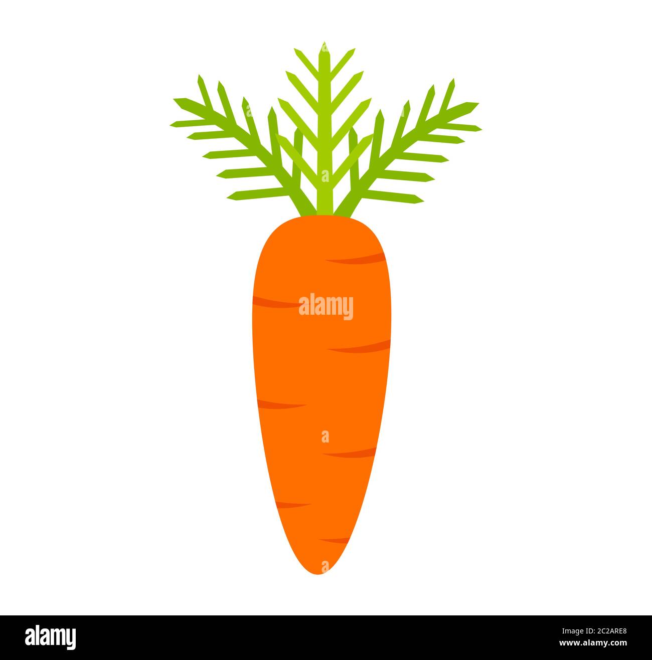Cartoon carrot vegetable icon on white background. Vector illustration  Stock Vector Image & Art - Alamy