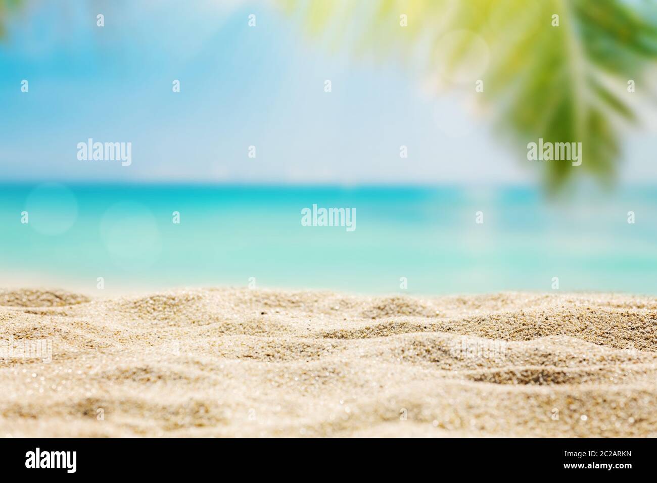 Tropical beach palm trees hi-res stock photography and images - Alamy