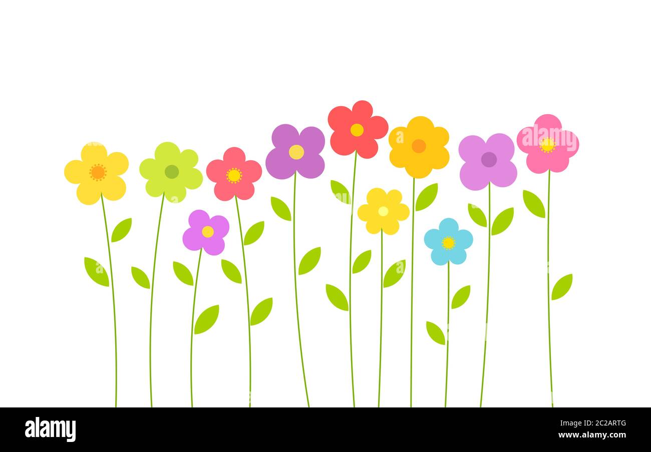 Cute colorful summer flowers on white background. Vector illustration ...