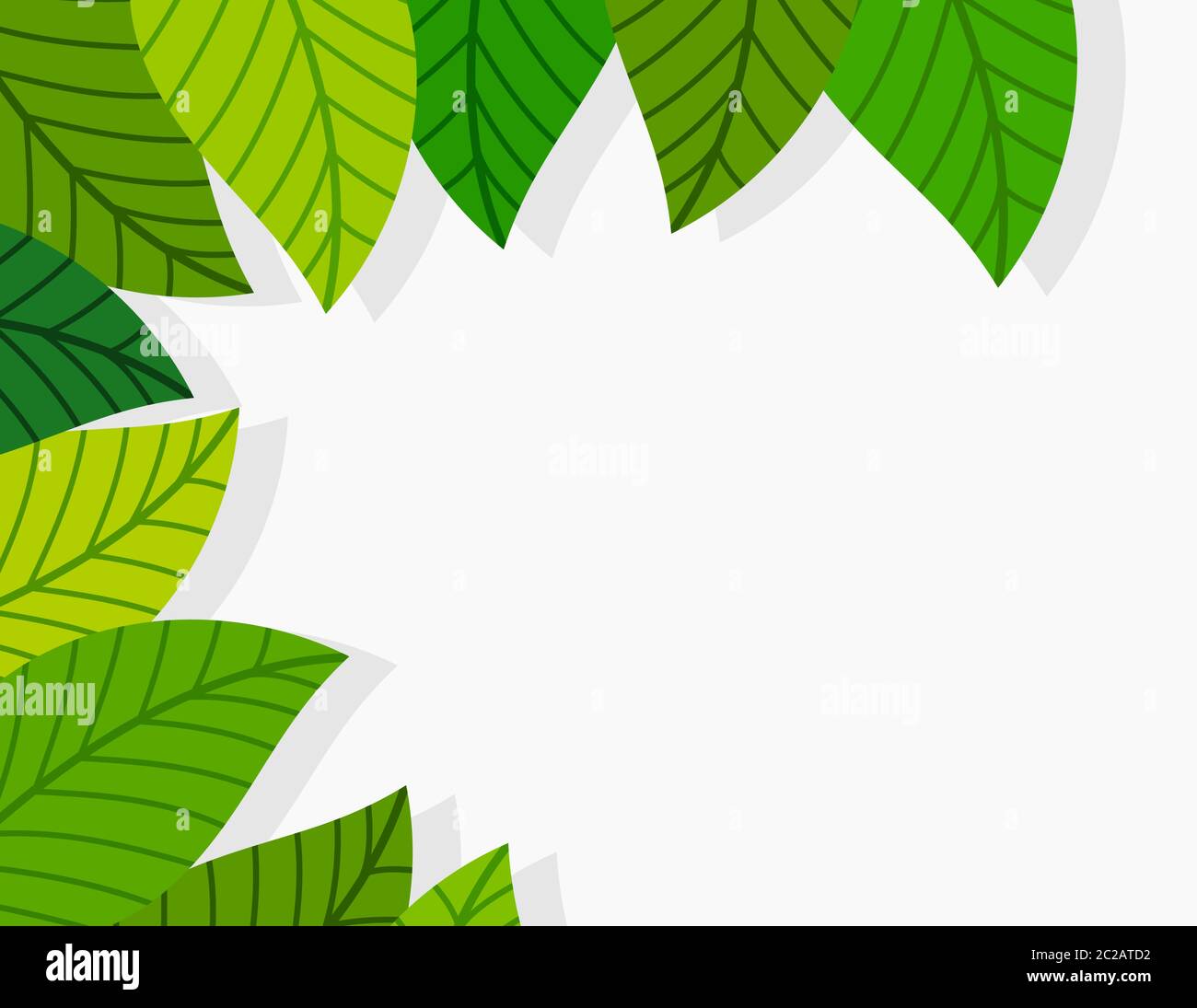 Green leaves border. Vector illustration Stock Vector Image & Art - Alamy