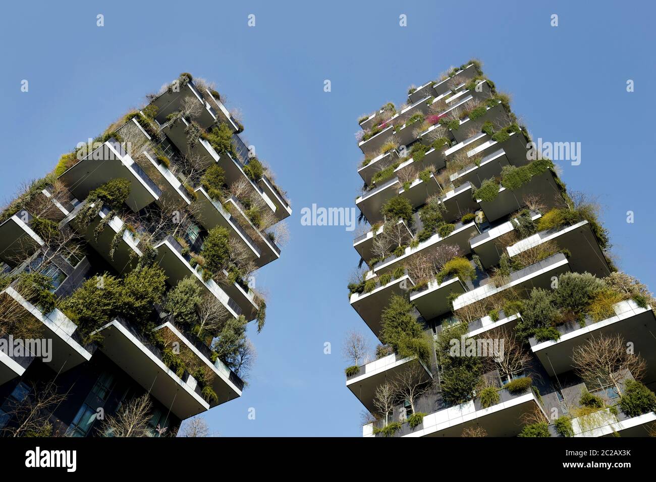 Ecological modern architecture skyscraper, Bosco Verticale, with vertical green wood on the balconies, in Milan. Stock Photo