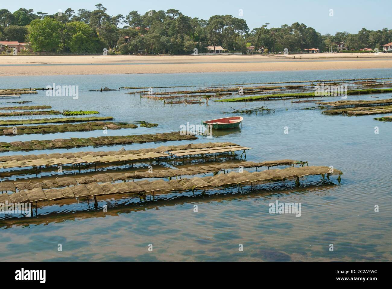 oyster farming in the Hossegor estuary Stock Photo