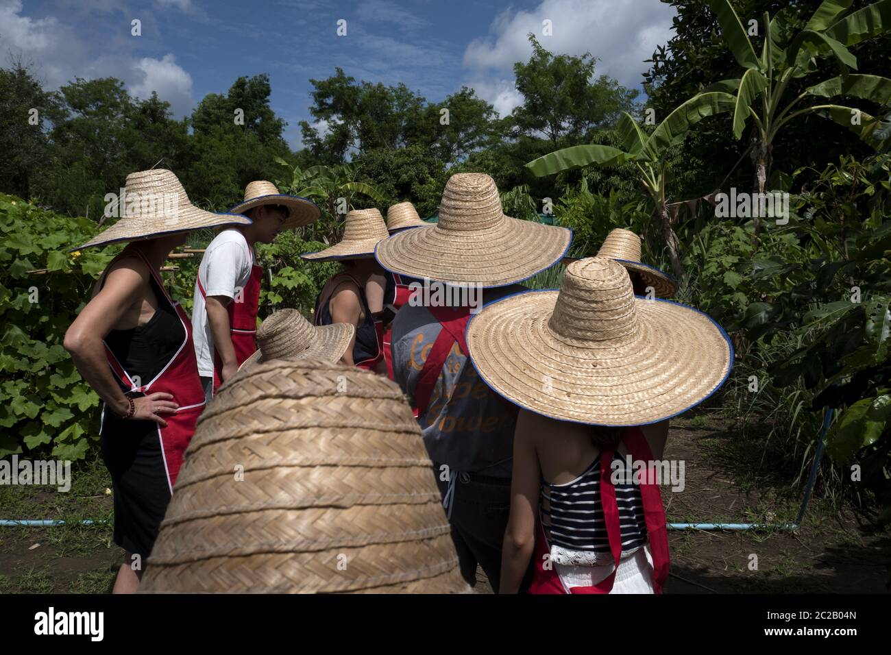 Tourists wearing farmer's hat having a tour on the vegetable garden, during a thai food kitchen class, Chang Mai. Stock Photo