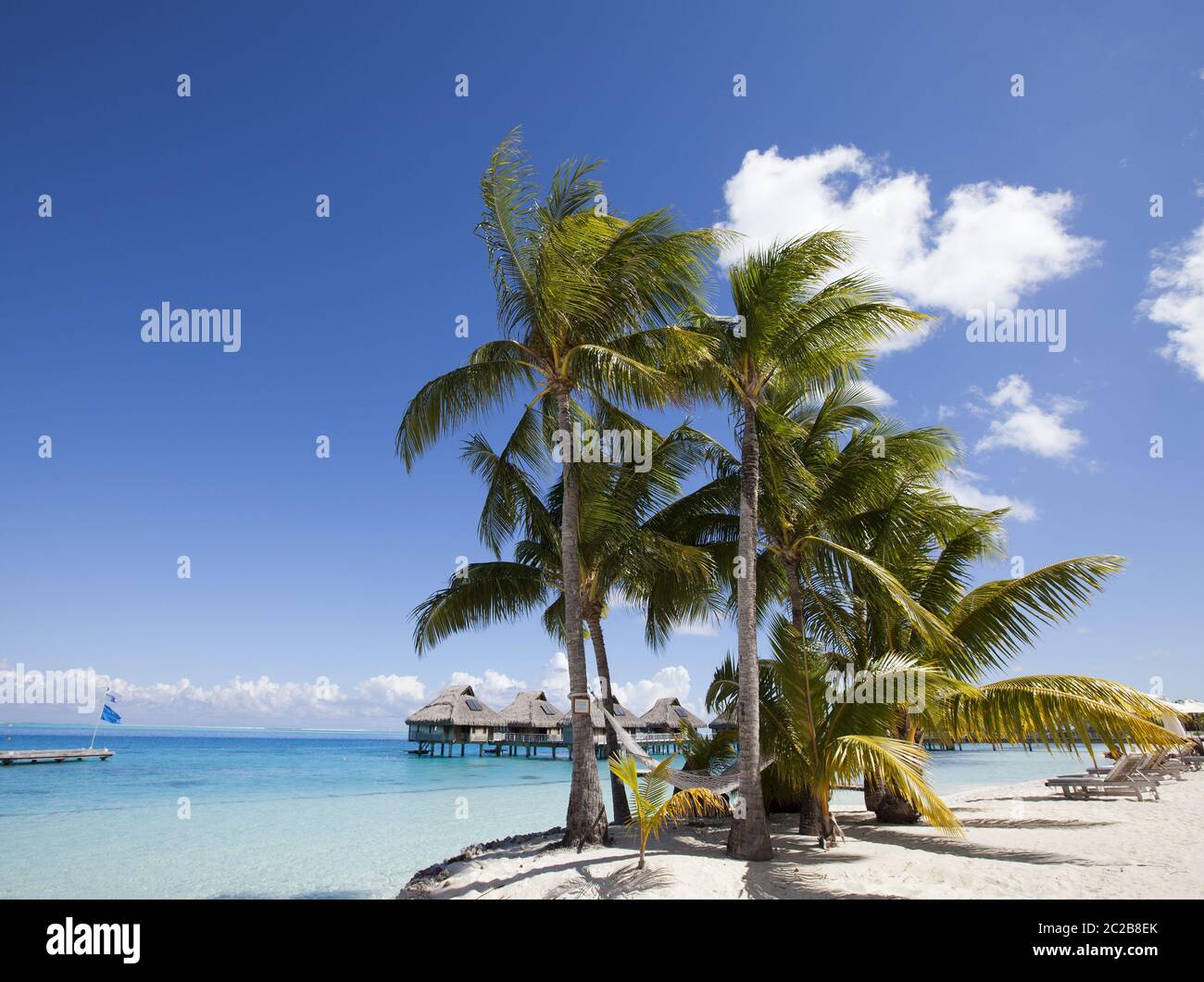View of the sandy beach with palm trees and hammok, Bora Bora, French Polynesia Stock Photo