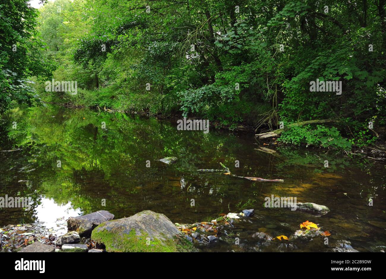 MÃ¶hne river and lowland riparian forest Stock Photo