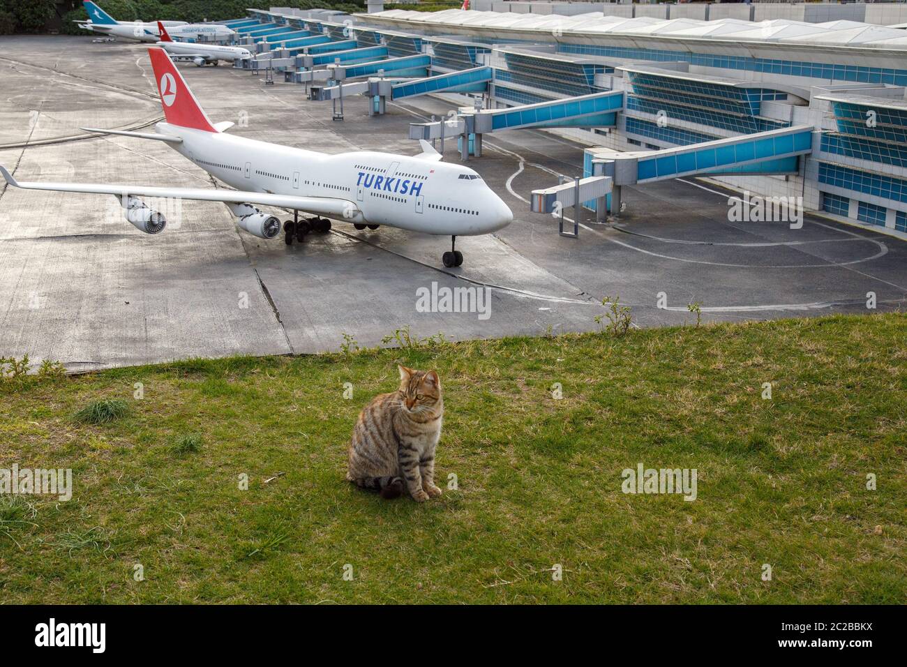 Istanbul, Turkey - March 23, 2019: Cat in Miniaturk is a miniature park in Istanbul, Turkey. The park contains 122 models. Panor Stock Photo