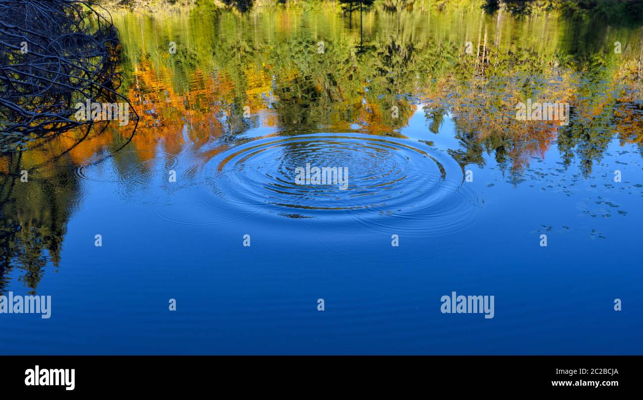 Round Ripples Pebble water ripples hi-res stock photography and images - Alamy