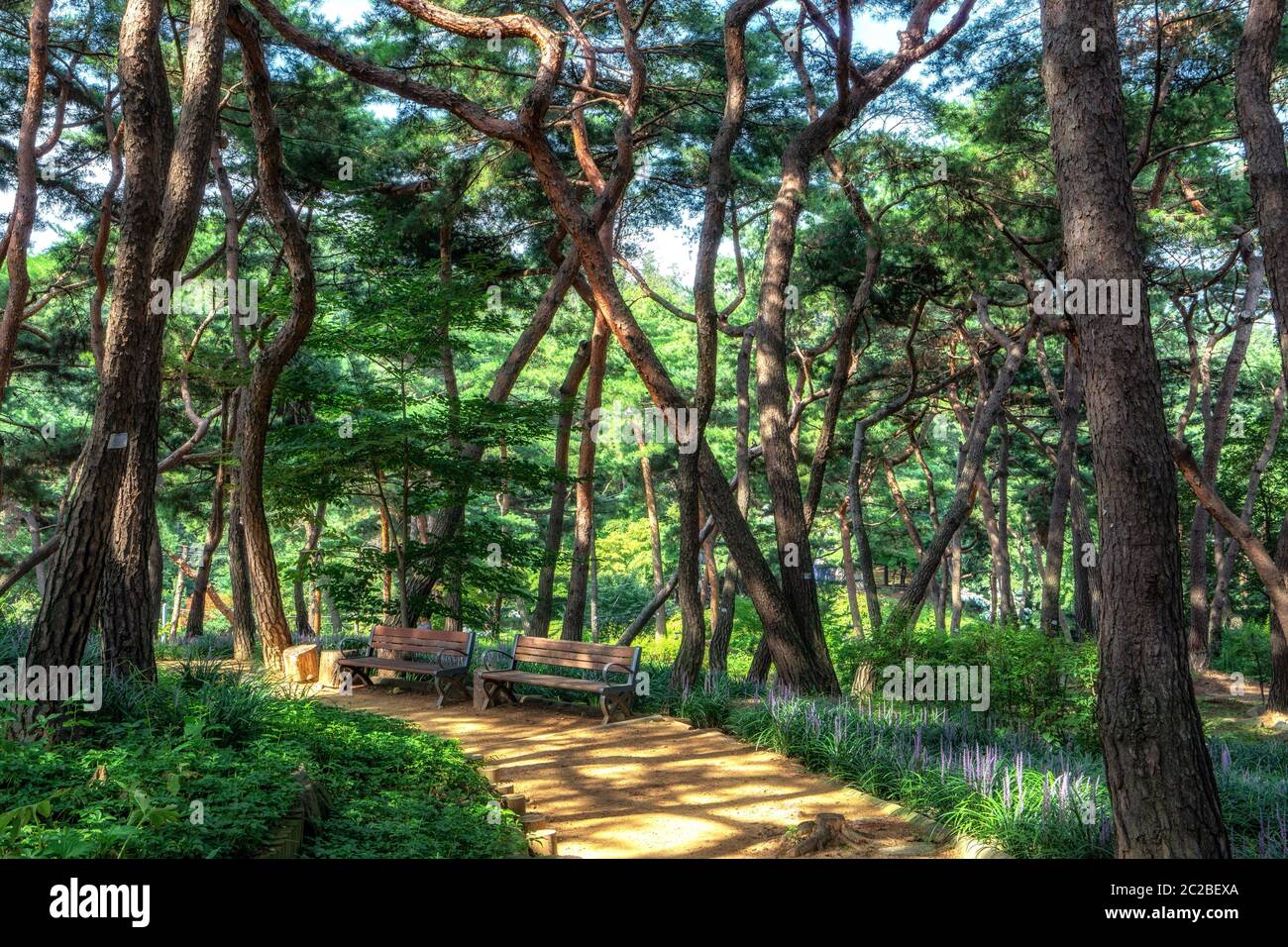 Ecological park seoul hi-res stock photography and images - Alamy