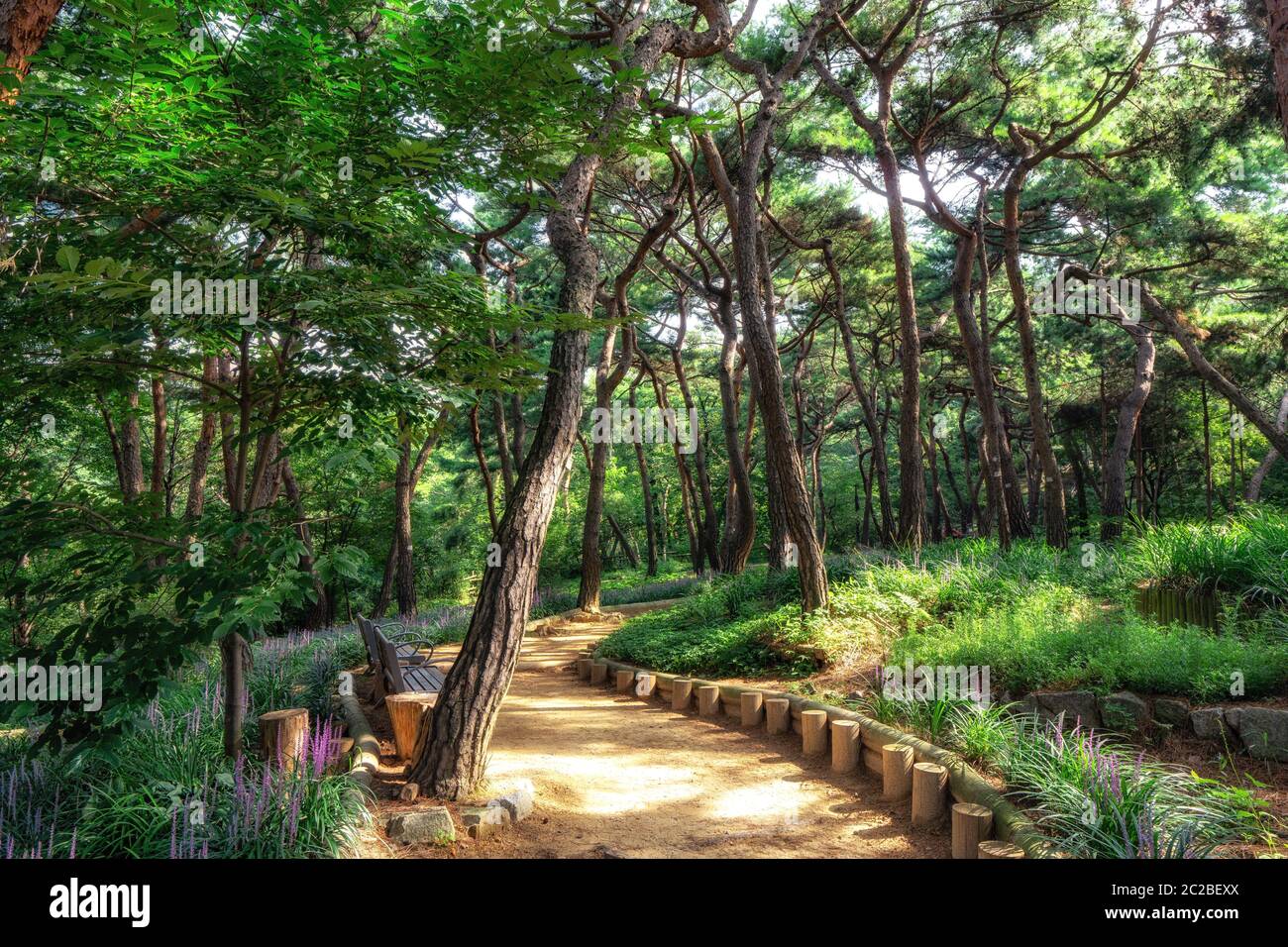 Ecological park seoul hi-res stock photography and images - Alamy