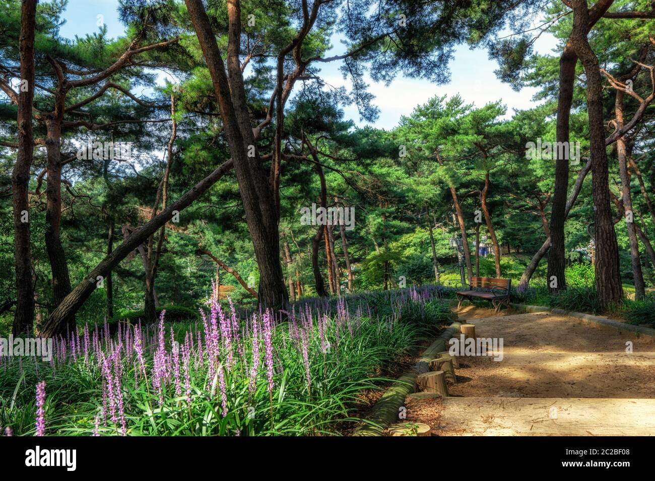 Achasan ecological park hi-res stock photography and images - Alamy