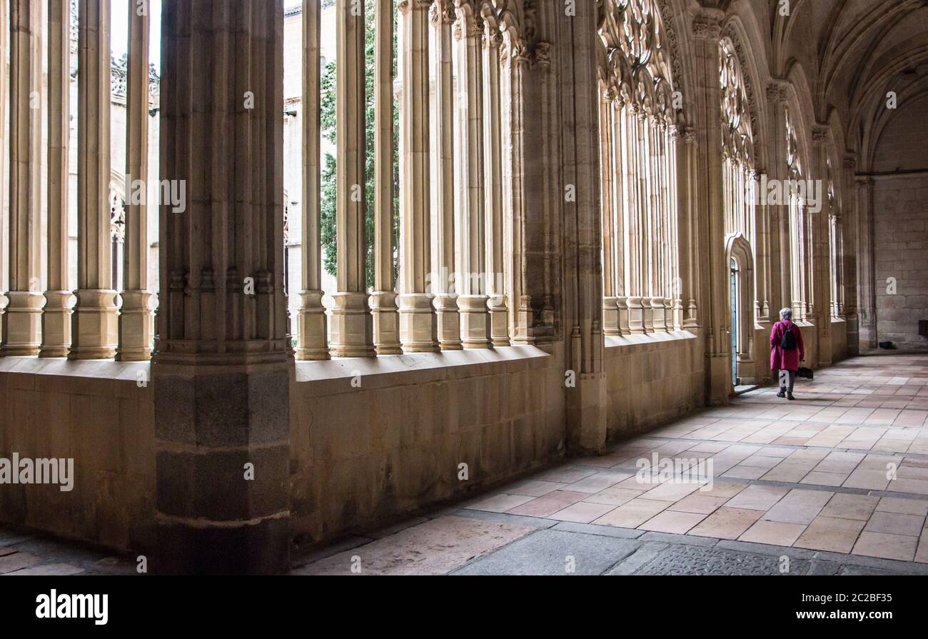 View of the Cloisters at Segovia Cathedral, Spain Stock Photo