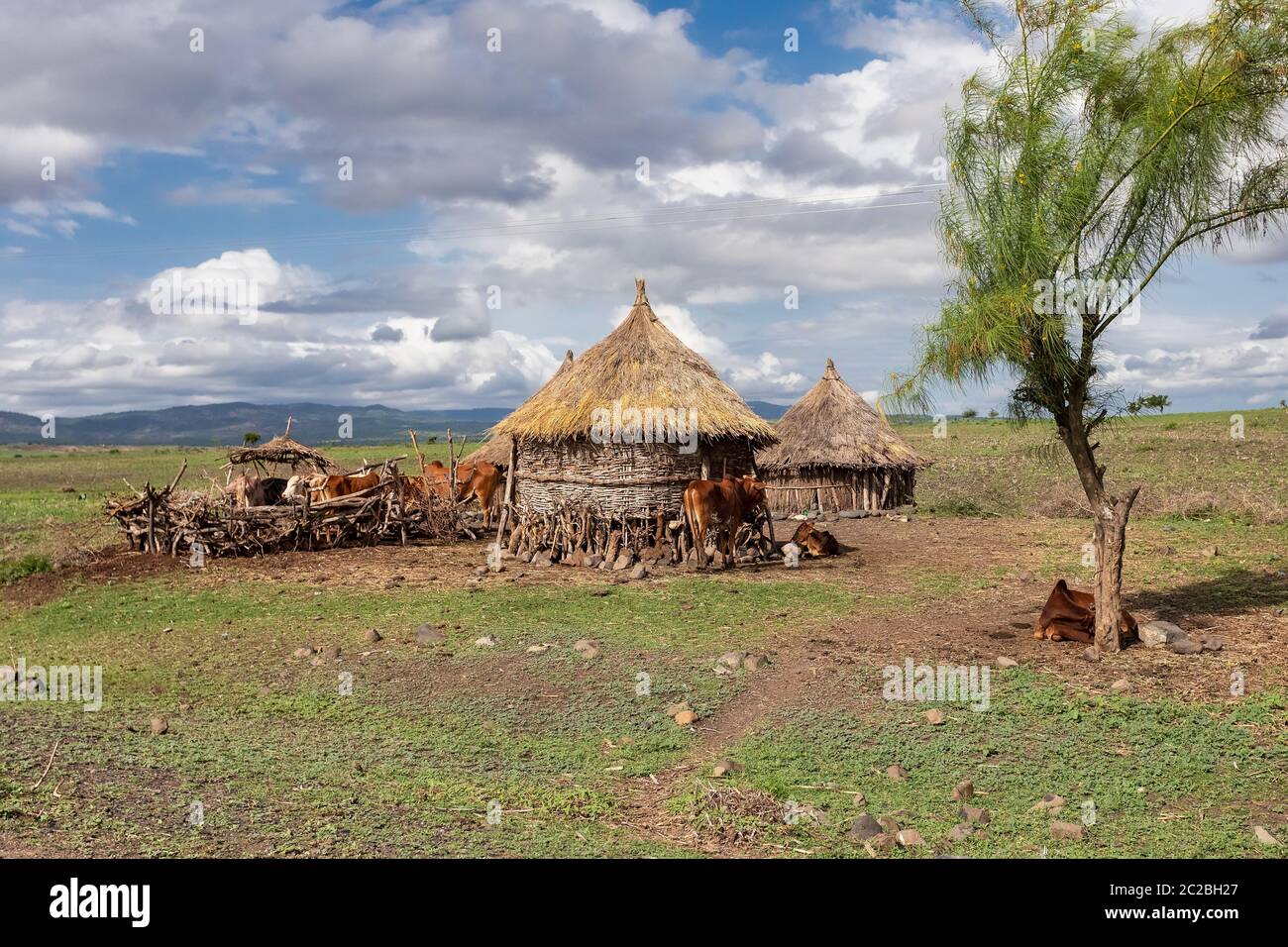 Ethiopian landscape with traditional ethiopian houses for cattle near