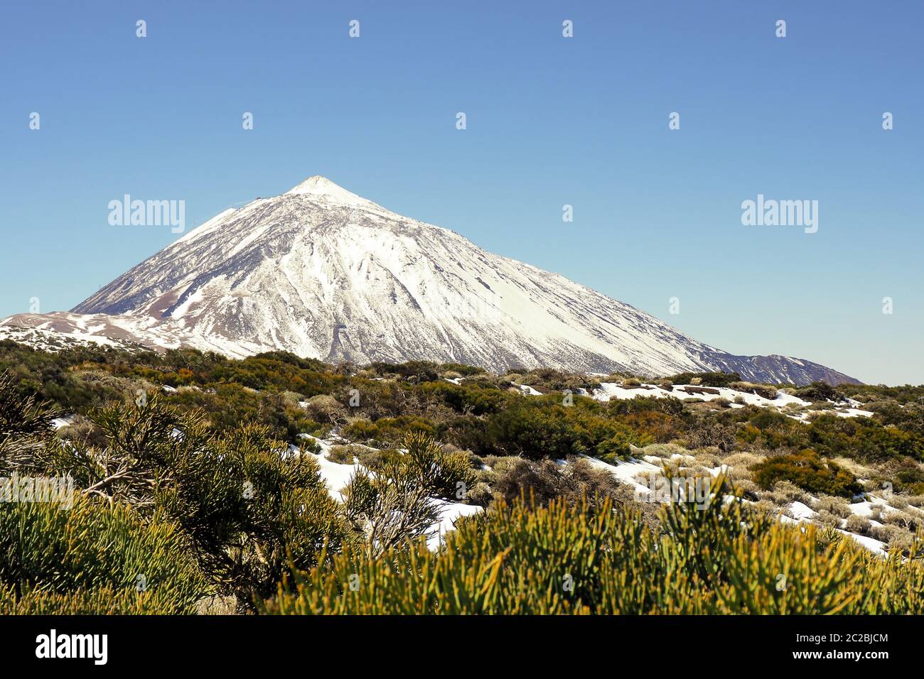 The highest mountain of Spain, the Pico El Teide on Tenerife with high fresh snow and dark blue sky. In front of it a large field with dark green ende Stock Photo