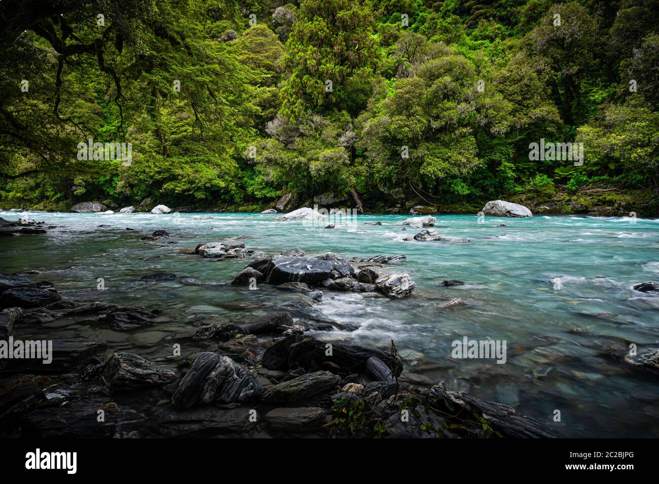 The river at Thunder Creek Falls in the Haast Pass, New Zealand. Stock Photo