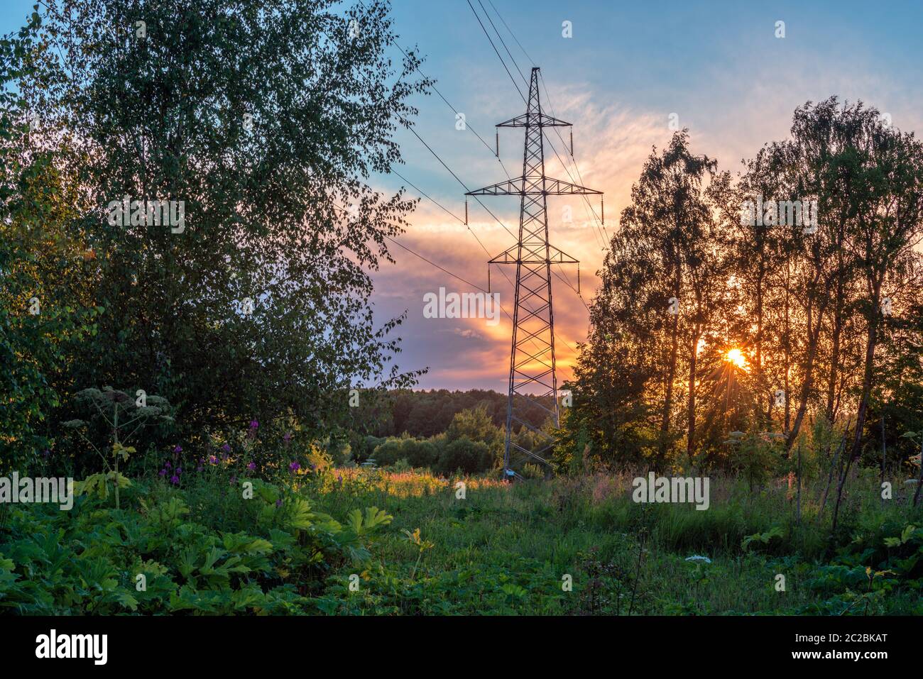 High voltage power line in forest at sunset Stock Photo - Alamy