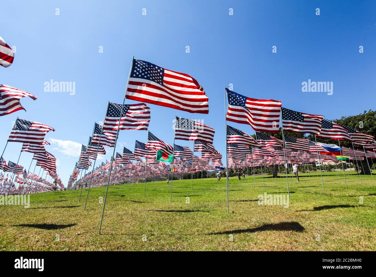 American Flags fly on the campus grounds to commemorate the innocent victims of the 9/11 attack on the World Trade Center, the Pentagon and Flight 93. Stock Photo