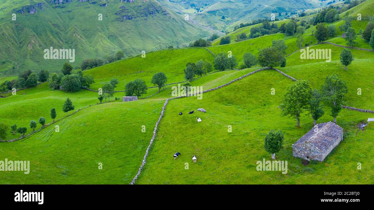Aerial view with a drone of the spring landscape of pasiegas cabins and meadows in Miera Valley in Autonomous Community of Cantabria. Spain, Europe Stock Photo