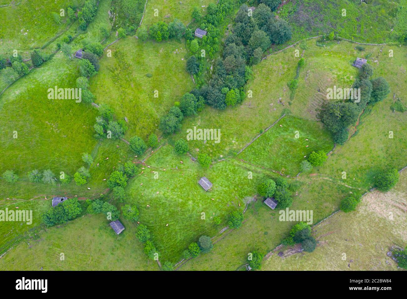 Aerial view with a drone of the spring landscape of pasiegas cabins and meadows in Miera Valley in Autonomous Community of Cantabria. Spain, Europe Stock Photo