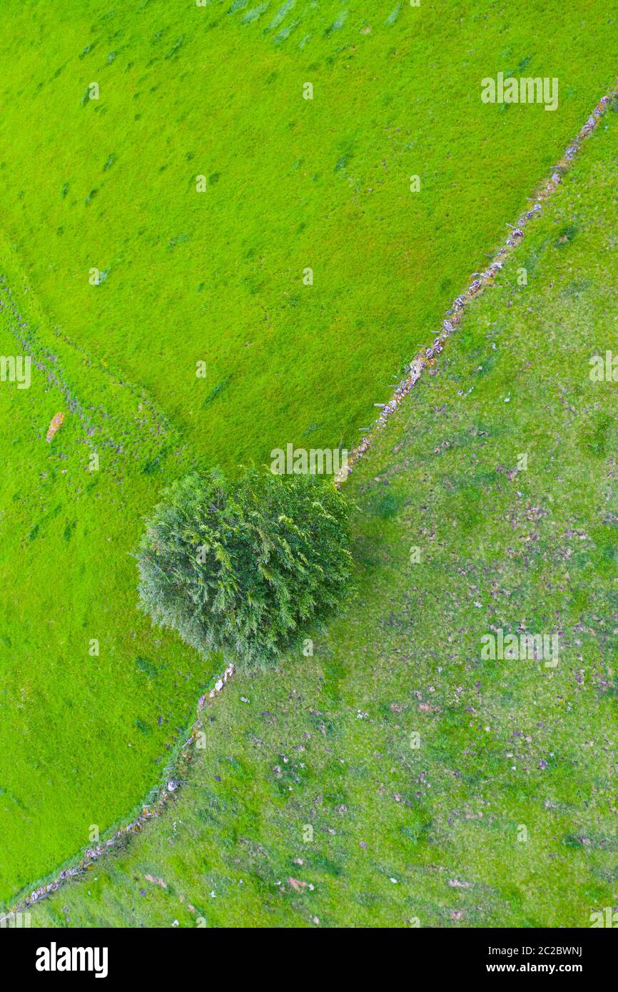 Aerial view with a drone of the spring landscape of pasiegas cabins and meadows in Miera Valley in Autonomous Community of Cantabria. Spain, Europe Stock Photo