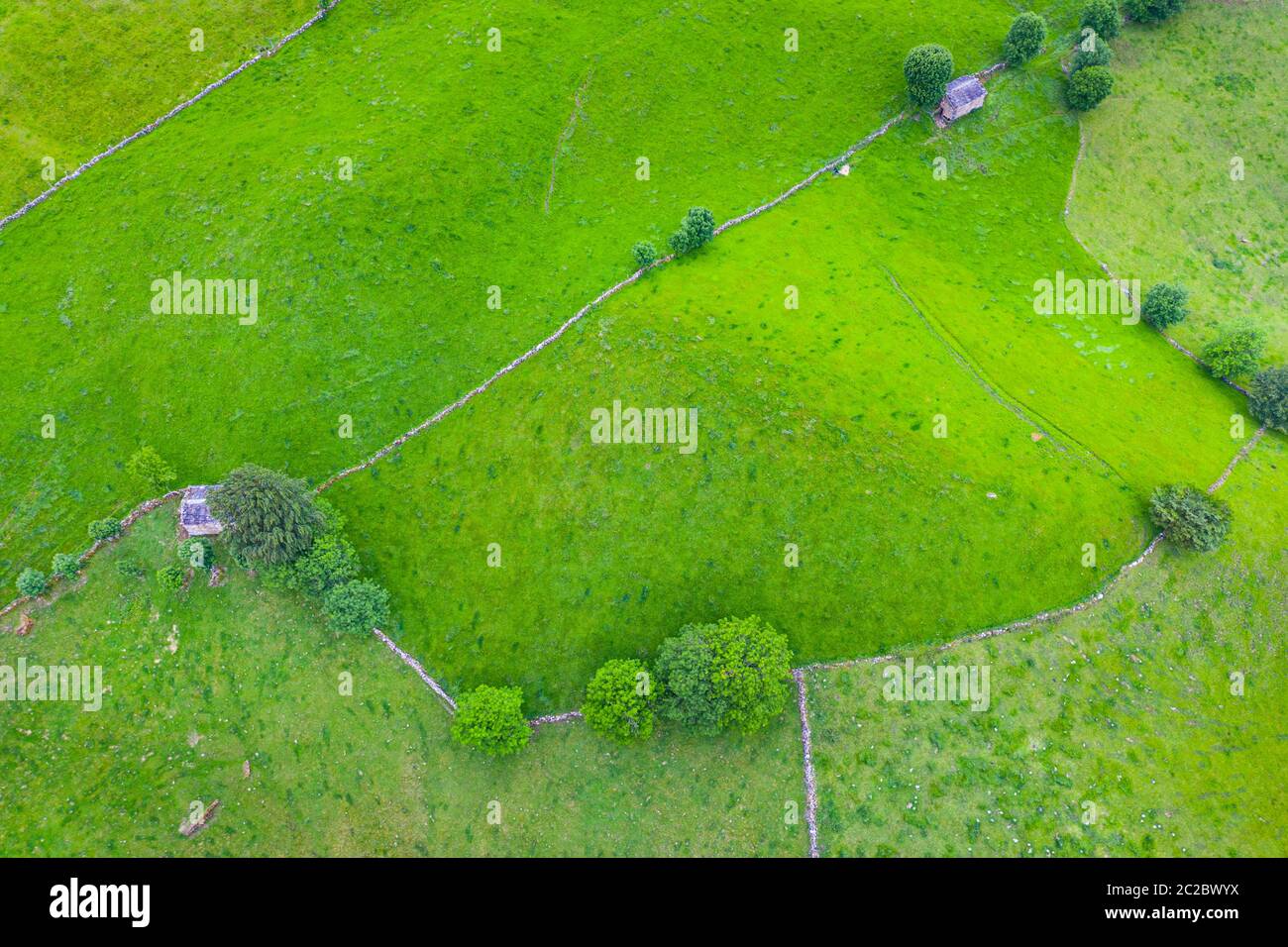 Aerial view with a drone of the spring landscape of pasiegas cabins and meadows in Miera Valley in Autonomous Community of Cantabria. Spain, Europe Stock Photo