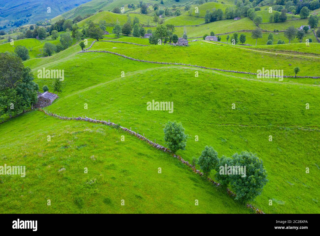 Aerial view with a drone of the spring landscape of pasiegas cabins and meadows in Miera Valley in Autonomous Community of Cantabria. Spain, Europe Stock Photo