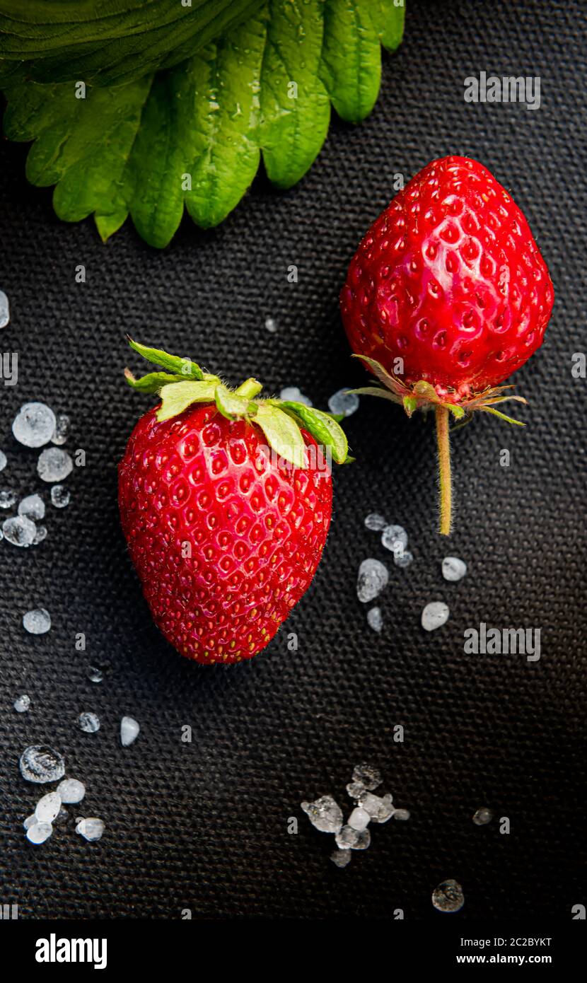 Red strawberries with few white hailstones and strawberry leaf on black material used for cultivating this berry in garden. Vertical background with c Stock Photo