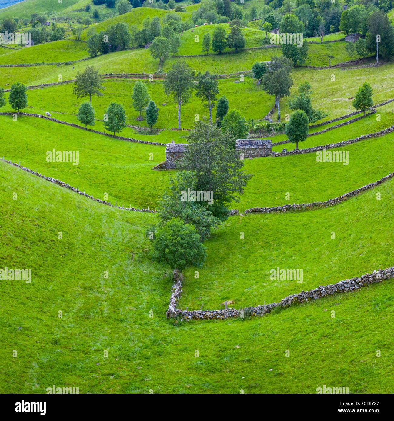 Aerial view with a drone of the spring landscape of pasiegas cabins and meadows in Miera Valley in Autonomous Community of Cantabria. Spain, Europe Stock Photo