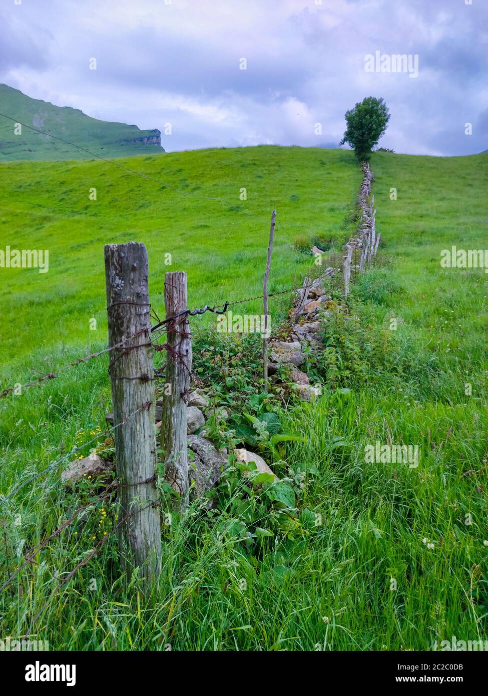 Spring landscape of pasiegas cabins and meadows in the Miera Valley in the Autonomous Community of Cantabria. Spain, Europe Stock Photo