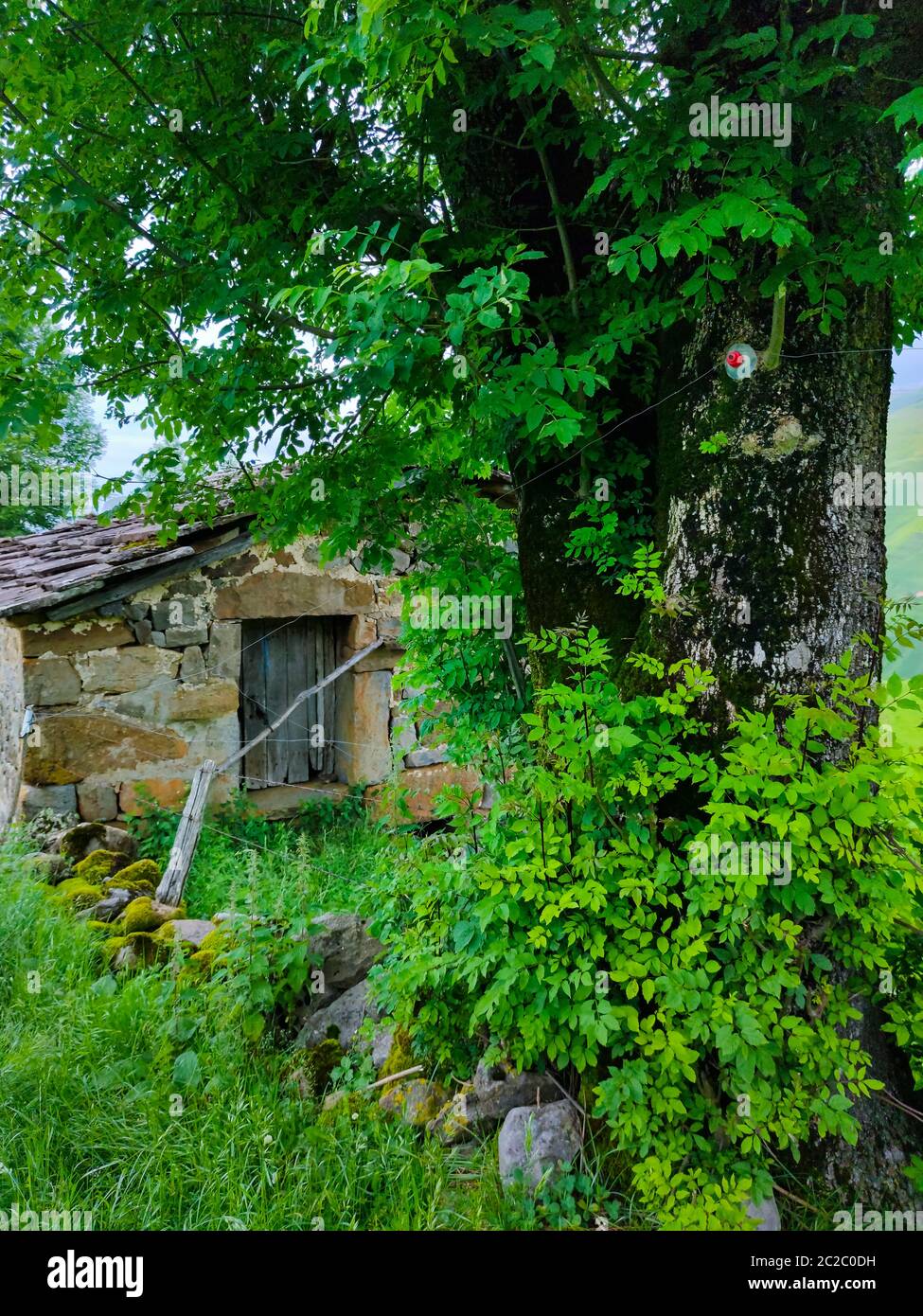 Spring landscape of pasiegas cabins and meadows in the Miera Valley in the Autonomous Community of Cantabria. Spain, Europe Stock Photo