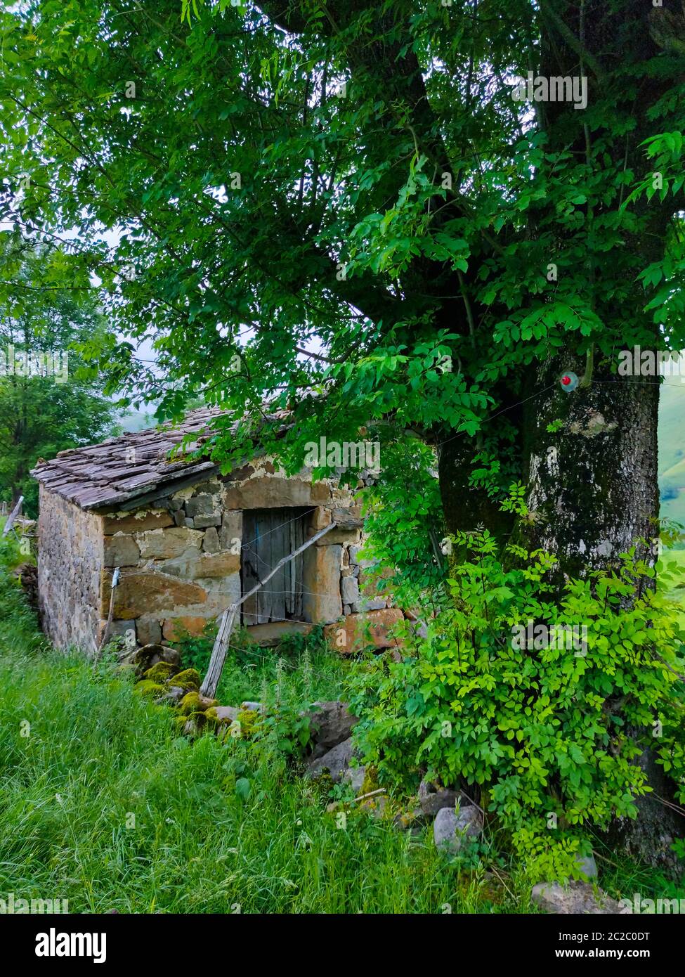 Spring landscape of pasiegas cabins and meadows in the Miera Valley in the Autonomous Community of Cantabria. Spain, Europe Stock Photo