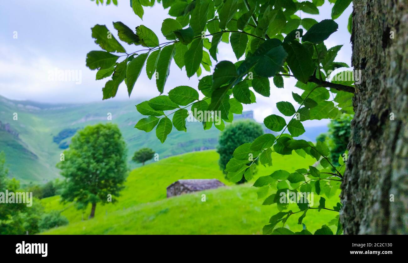 Spring landscape of pasiegas cabins and meadows in the Miera Valley in the Autonomous Community of Cantabria. Spain, Europe Stock Photo