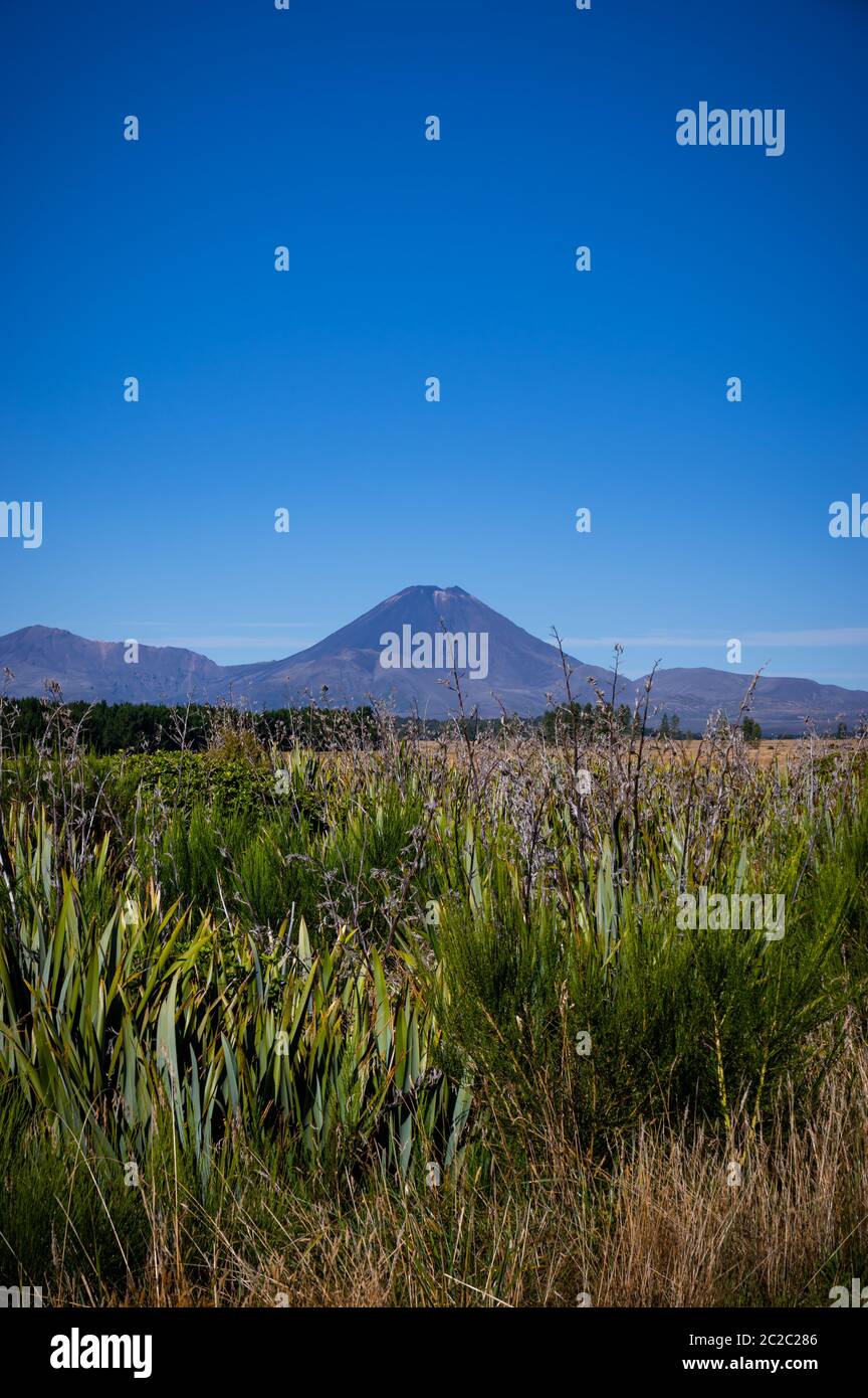 A sunny summer day with blue skies over Tongariro national park on New Zealand's north island, and Mount Ngauruhoe in the distance. Stock Photo