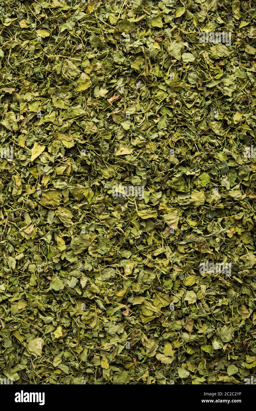 Kasuri Methi / Kasoori Methi or dried fenugreek leaves also known as Trigonella Foenum Graecum Stock Photo