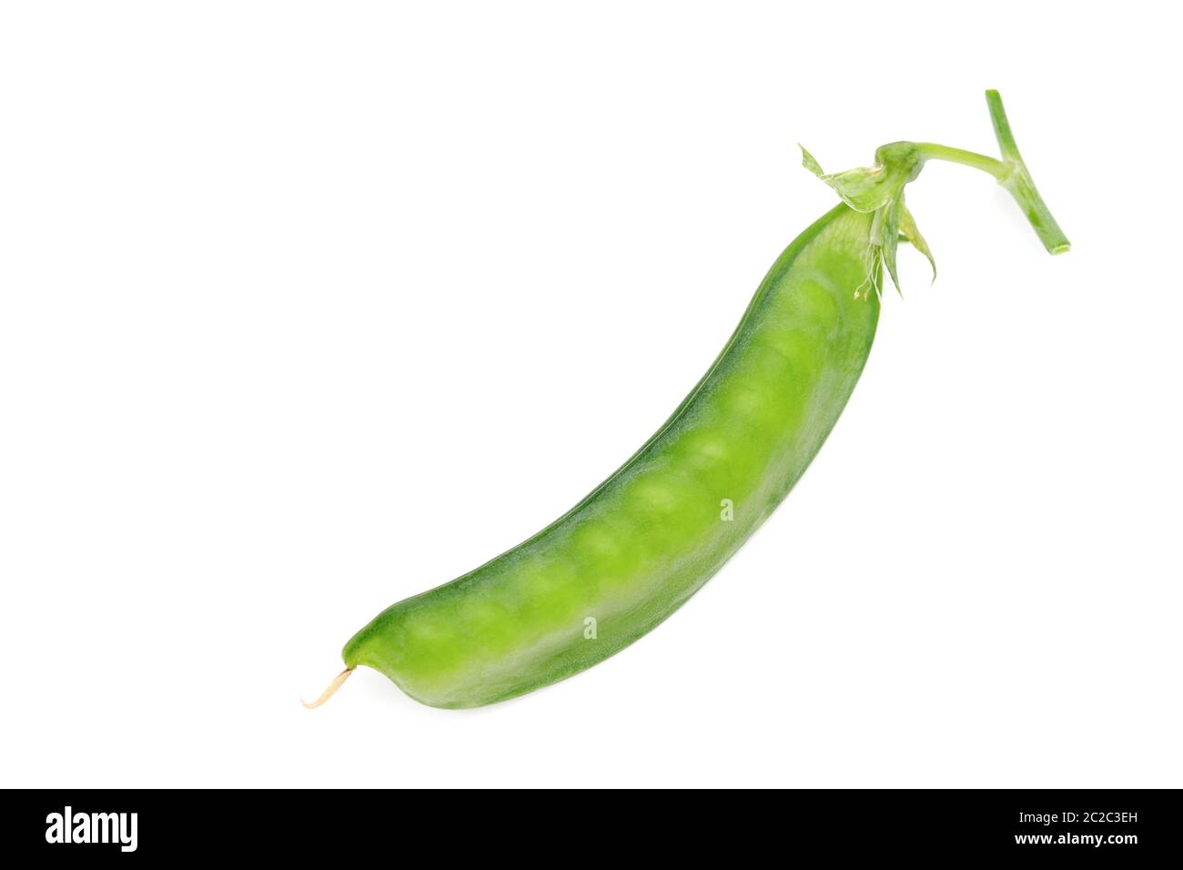 green soy bean isolated on white background Stock Photo