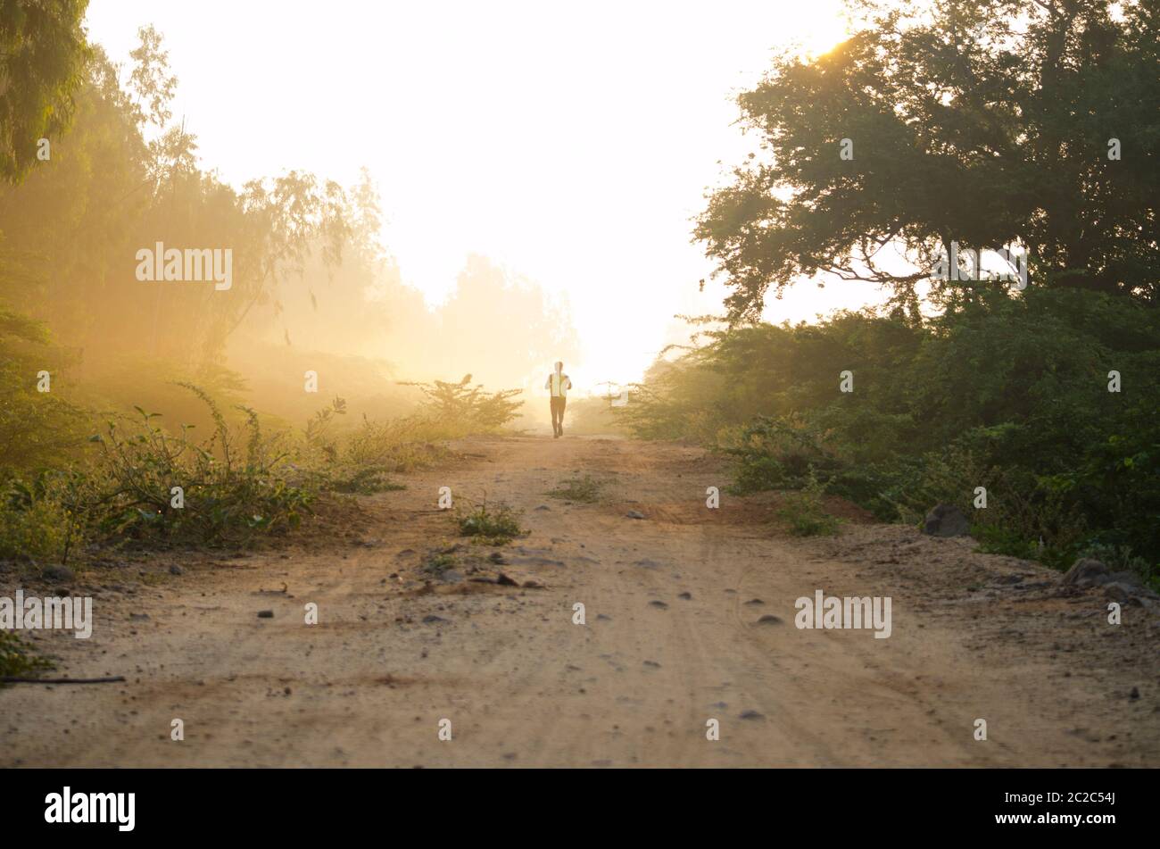 Fresh Morning sports walk jogging in the indian forest with beautiful lighting scene Stock Photo