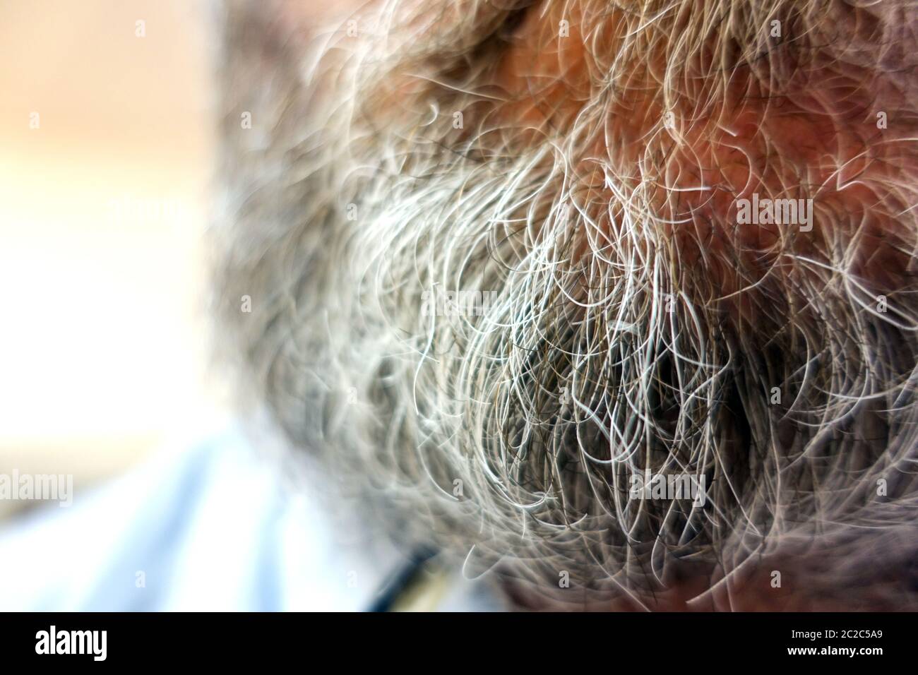 Old mans grey beard close-up Stock Photo