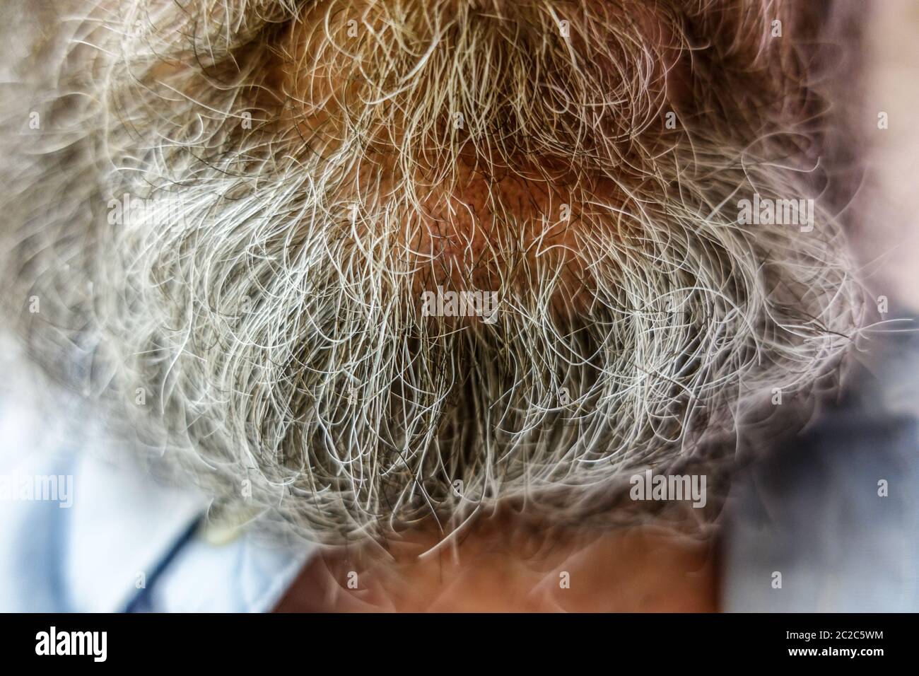 Old mans grey beard close-up Stock Photo