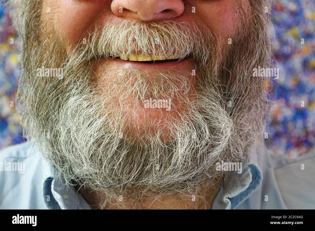 Old mans grey beard close-up Stock Photo