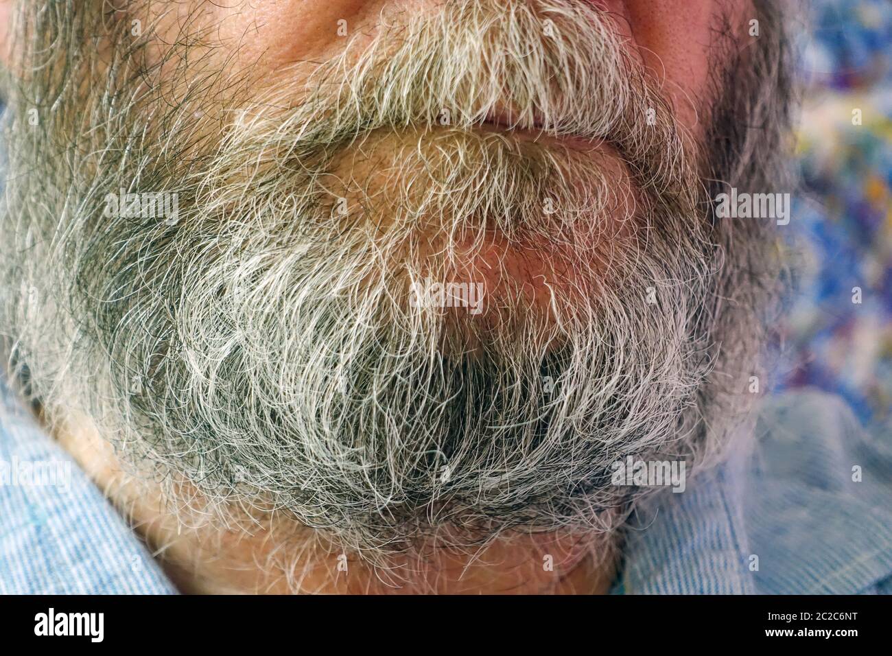 Old mans grey beard close-up Stock Photo