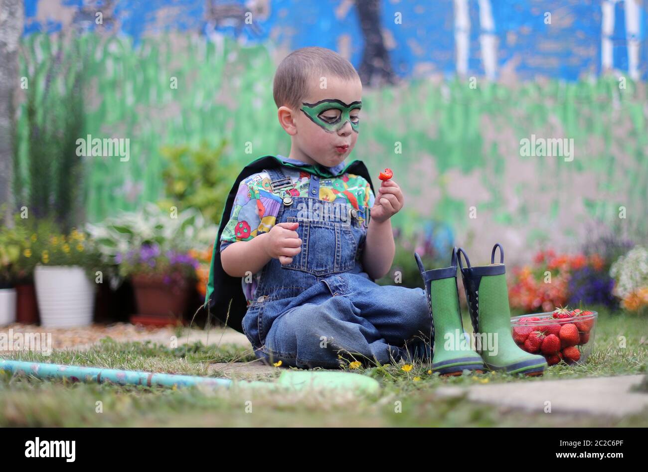 Tom Kenny, 3, eats strawberries at the launch of the national BiaHero campaign in Dublin, which seeks to tackle the problems of food security in a time of climate change and biodiversity loss by supporting people in growing their own healthy, local food. Stock Photo
