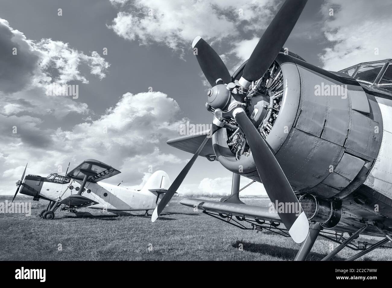 historical aircrafts on a meadow Stock Photo