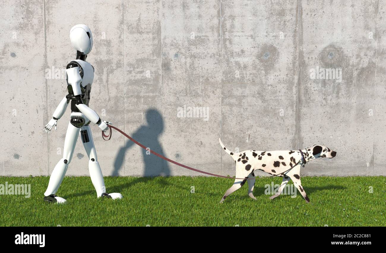 A humanoid robot walks a Dalmatian breed dog with a leash on the lawn. Replacing human labor with robotics. Future concept with smart robotics and art Stock Photo