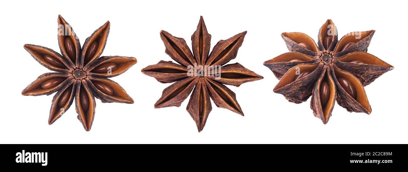 pdf info about anise