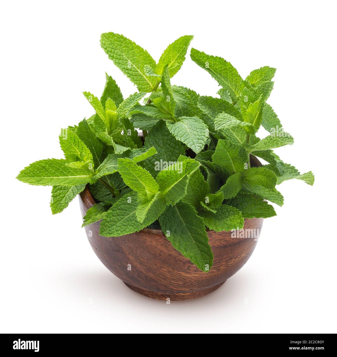 Fresh mint leaves bunch isolated on white background Stock Photo Alamy