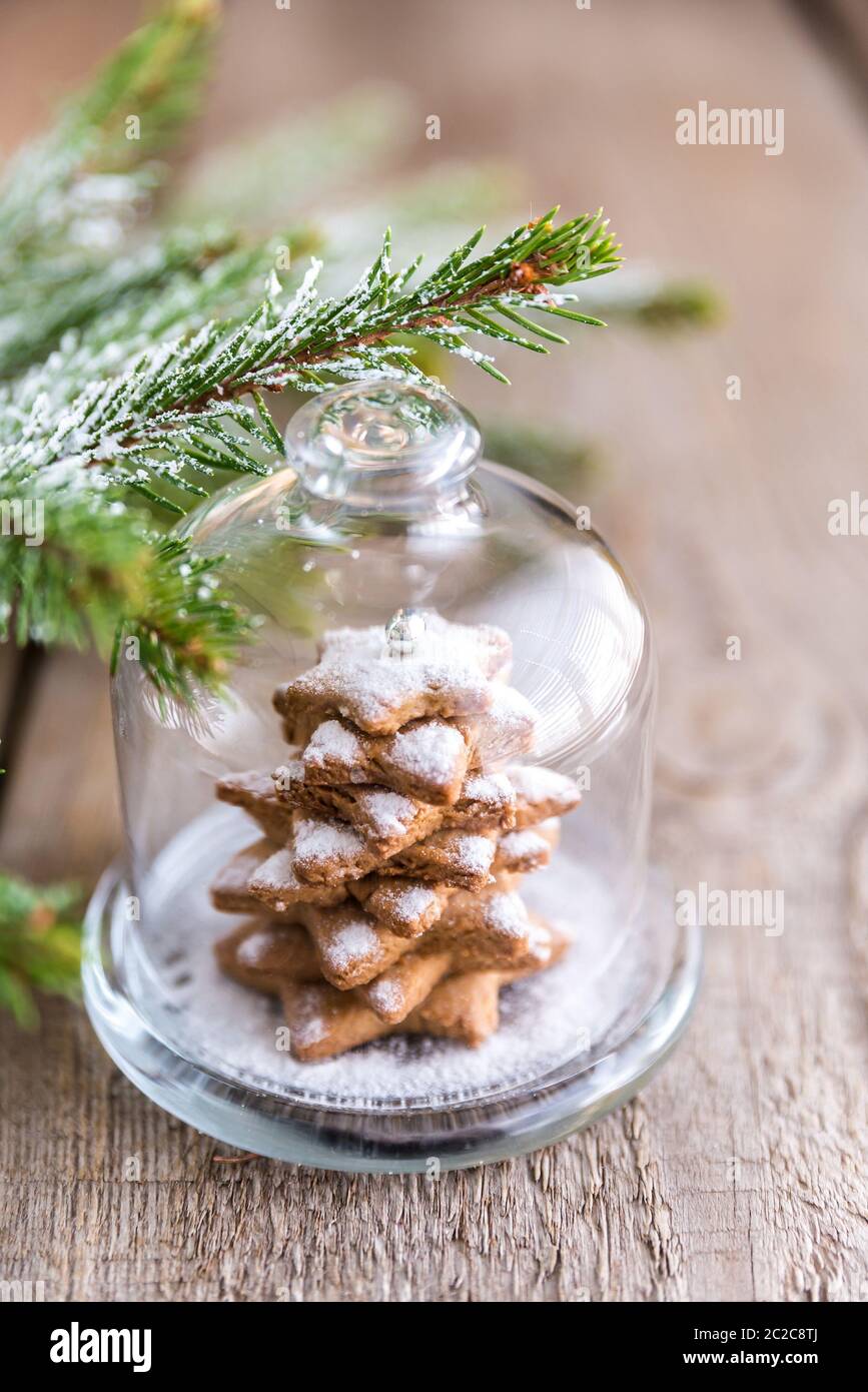 Homemade sweet Christmas tree under the glass dome Stock Photo