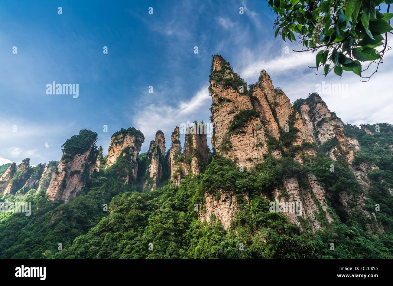 The Gathering of Heavenly Soldiers scenic rock formations, Avatar ...